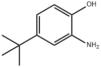 2-氨基-4-叔丁基酚