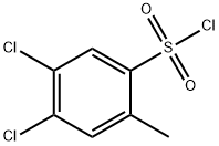 4,5-dichloro-2-methylbenzenesulfonyl chloride(SALTDATA: FREE)