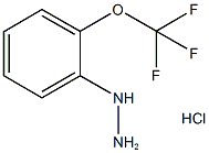 2-三氟甲氧基苯肼(HCL)