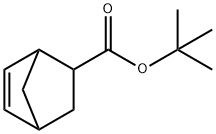 5-降冰片烯-2-羧酸叔丁酯