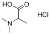 2-Dimethylamino-propionic acid hydrochloride