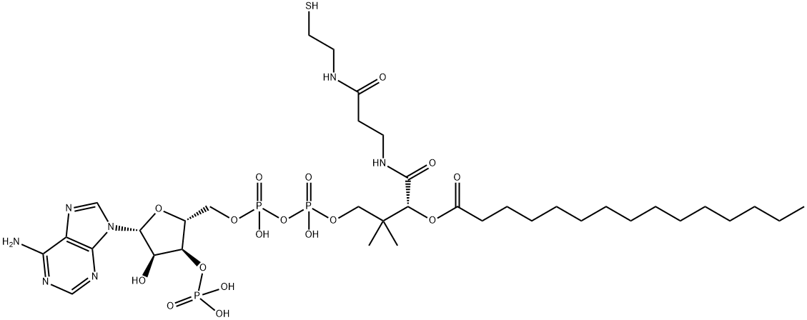 5′-O-[羟基[[羟基[[(3R)-3-羟基-2,2-二甲基-4-氧代-4-[[3-氧代-3-[[2-[(1-氧代十五烷基)硫代]乙基]氨基]丙基]氨基]丁基]氧基]亚膦酰]氧基]亚膦酰]-腺苷3′-(磷酸二氢酯)I酮(2-)