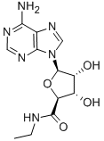 5′-N-乙基酰胺基腺苷