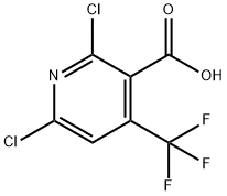 2,6-氯-4-三氟甲基煙酸