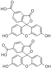 5(6)-羧基荧光素