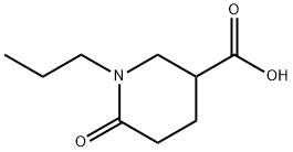 6-氧代-1-丙基-3-哌啶羧酸