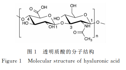 透明质酸的药理作用