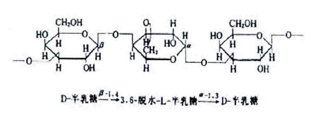 瓊脂糖的應(yīng)用和研究