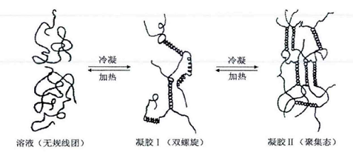 瓊脂糖的應(yīng)用和研究