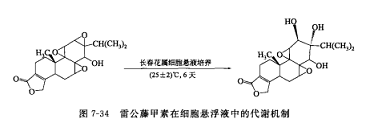 雷公藤甲素的說明書