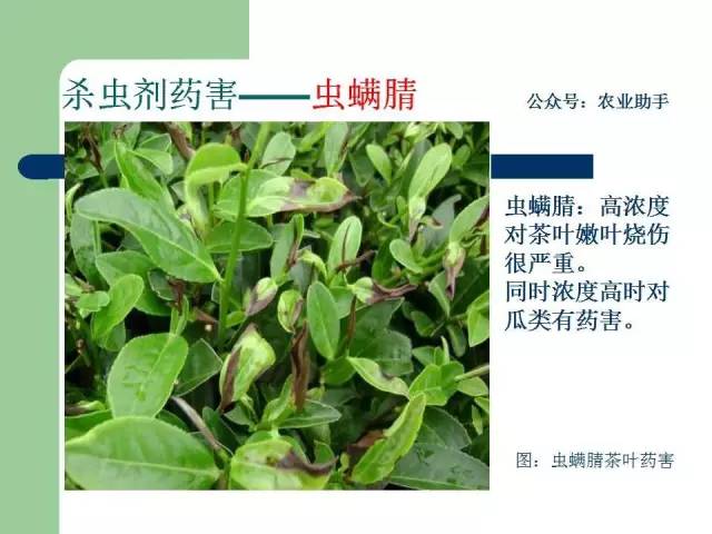 溴虫腈使用说明书