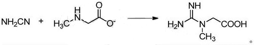 一水肌酸在人体中的作用机制及其制备方法