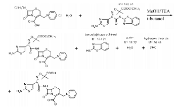 頭孢他啶叔丁酯的制備
