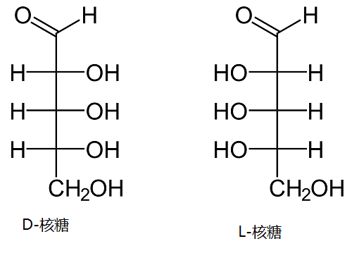 D-核糖產品功能與應用淺析