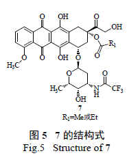 盐酸表柔比星的合成