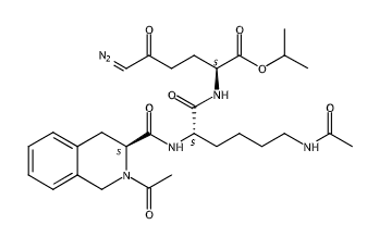 N-FMOC-L-1,2,3,4-四羥基異喹啉-3-甲酸的應(yīng)用