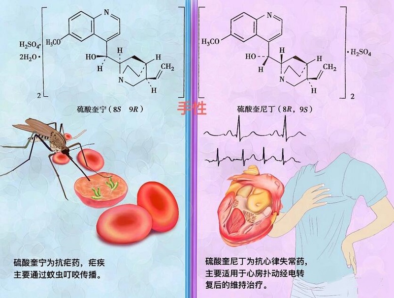 硫酸奎寧和硫酸奎尼丁的區(qū)別